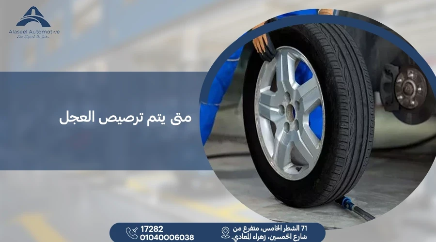 متى يتم ترصيص العجل؟